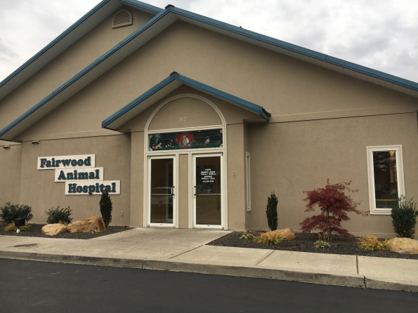 Pet Vet Hospital and Wellness Center - Veterinarian in Spokane