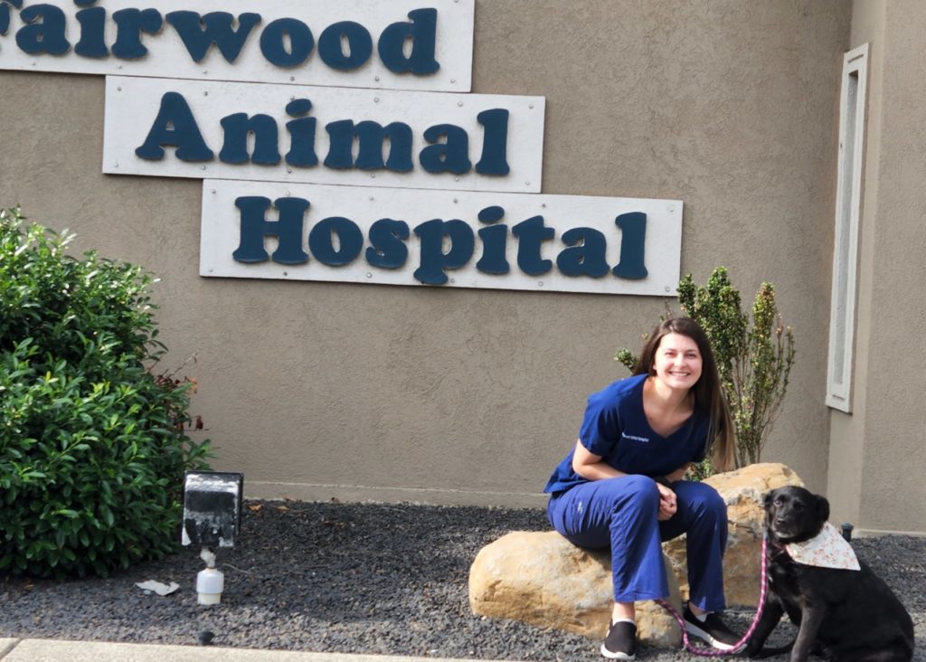 Vca feist 2024 animal hospital