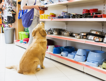 Pet Supplies Spend Less to Get More Veterinarians Spokane